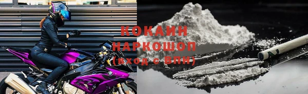 шишки Касимов