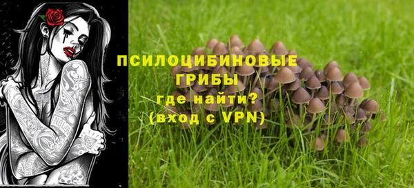 apvp Карталы
