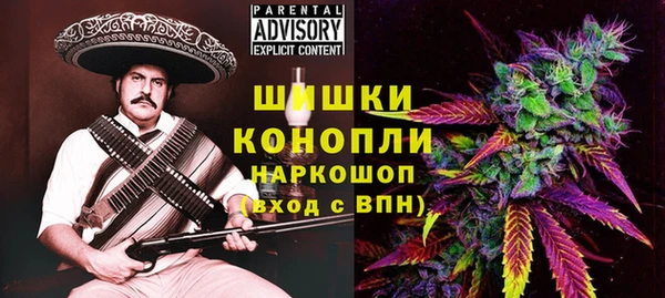 шишки Касимов