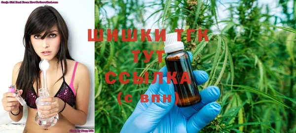 крисы Карпинск