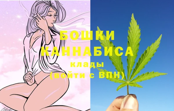 крисы Карпинск